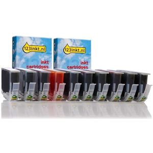 Canon aanbieding: voor Pixma Pro 9500 (2 zwart + 8 kleuren) Inktcartridge (123inkt huismerk)