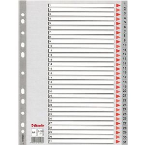 Esselte 100108 plastic indexen A4 grijs met 31 tabs (11-gaats)