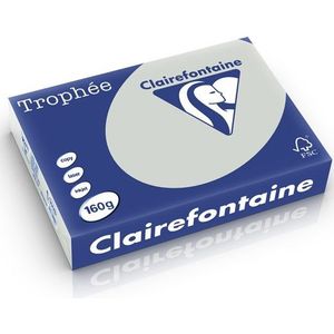 Clairefontaine gekleurd papier lichtgrijs 160 grams A4 (250 vel)