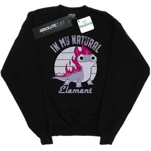 Li-cense Disney heren frozen 2 salamander bruni element sweatshirt