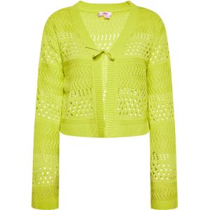 Vest - Opengewerkt - V-hals - Lange Mouwen - Casual