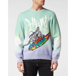 Pullover Ronde Hals Hawaii