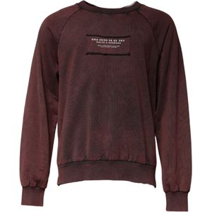 Crew Neck Sweatshirt Raglan Mouwen Versleten
