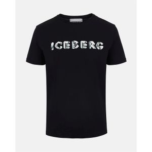 Iceberg 3d logo big branding