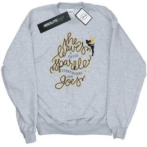Li-cense Disney heren tinkerbell sterren sweatshirt