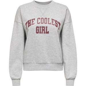 ONLY - Onljo ls print box bf swt - Grijze Melee Sweater - Dames