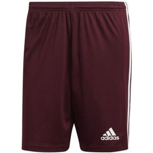 Adidas - Squadra 21 - Korte Broek - Heren