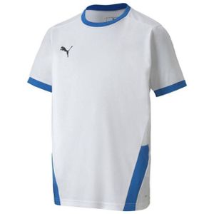 Puma - Teamgoal 23 - Jersey - 100% Polyester - Kinderen