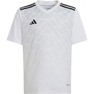 Adidas - Team Icoon 23 - T-shirt - 100% Polyester - Korte Mouwen