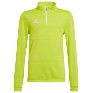 Adidas - Entrada 22 - Trainings Sweatshirt - 100% Gerecycled Polyester