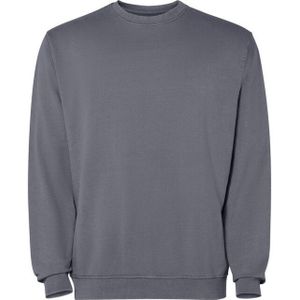 Roly Unisex jaya crew hals sweatshirt voor volwassenen