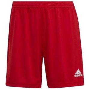 Adidas - Entrada 22 - Korte Broek - Dames