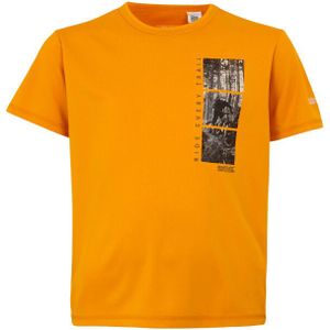 Regatta Alvarado IX T-shirt - Groen - 100% Gerecycleerd Polyester - Korte Mouwen