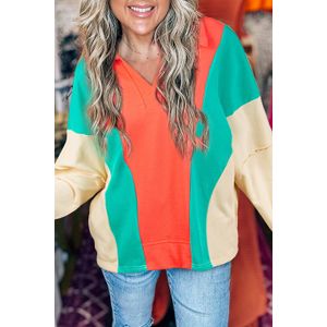 Kleurblok V-hals Trui