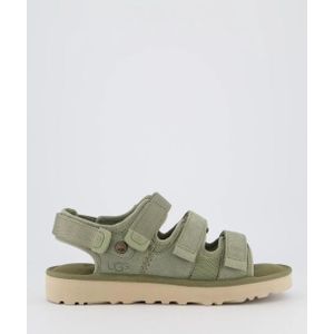 Ugg, Heren, Schoenen, Groen, Maat: 40 EU Suède,