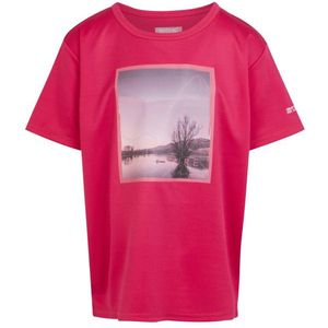 Regatta Kinderen/kinderen alvardo viii landschap t-shirt