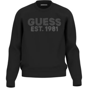 Guess - BEAU - Sweatshirt