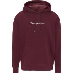 Tommy Hilfiger Reg linear hoodie