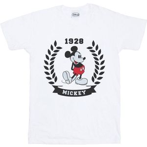 Li-cense - Disney - T-shirt - Katoen - 100% Officieel Gelicentieerd