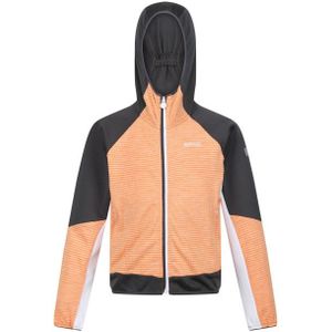 Regatta - Prenton II - Soft Shell Jacket - Abrikoosplet/Grijs