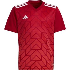 Adidas - Team Icoon 23 - T-shirt - 100% Polyester - Korte Mouwen