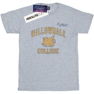Li-cense Disney heren onward willowdale college t-shirt