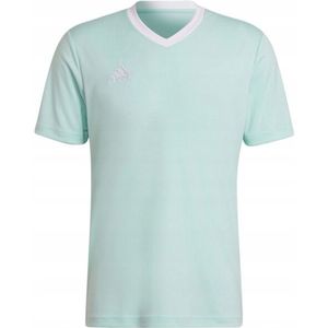 Adidas - Entrada 22 - Jersey - Korte Mouwen - 100% Gerecycleerd Polyester