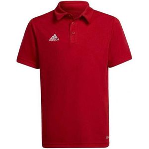 Adidas - Entrada 22 - Poloshirt - 100% Gerecycled Polyester