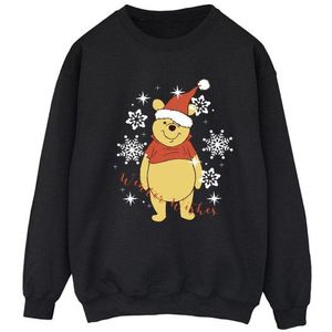 Li-cense Disney dames winnie the pooh winter wishes sweatshirt
