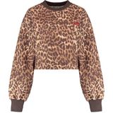 Harper & Yve Sweat dw25p512 darcy