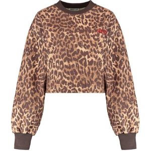 Harper & Yve Sweat dw25p512 darcy