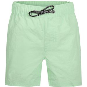 DJ Dutchjeans Swimshorts