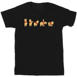 Li-cense Disney heren winnie de poeh strek t-shirt