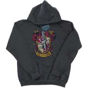 Li-cense Harry potter heren gryffindor hoodie