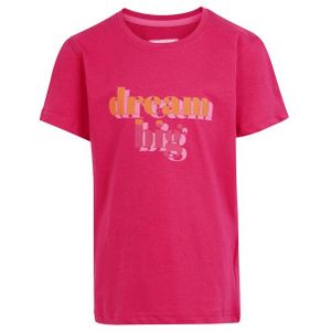 Regatta Kinderen/kinderen bosley vii droom groot t-shirt