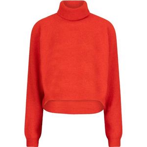 Dante 6 Yuria truien 253410