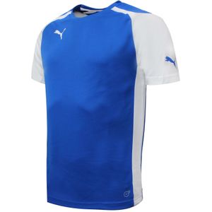 Puma - Speed Jersey - Sport T-shirt - Blauw - Heren