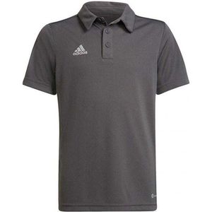 Adidas - Entrada 22 - Poloshirt - 100% Gerecycled Polyester