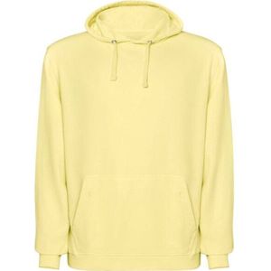 Roly Volwassen unisex kenia hoodie