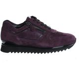 Hassia - Artikel 3-02033 Sneakers - Plum