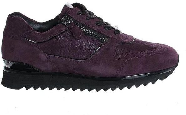 Hassia - Artikel 3-02033 Sneakers - Plum