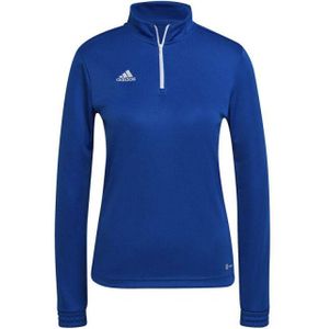 Adidas - Entrada 22 - Trainings Sweatshirt - Gerecycled Polyester
