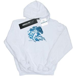 Li-cense Disney jongens frozen 2 nokk silhouette hoodie