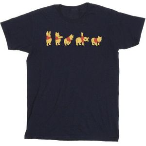 Li-cense Disney heren winnie de poeh strek t-shirt