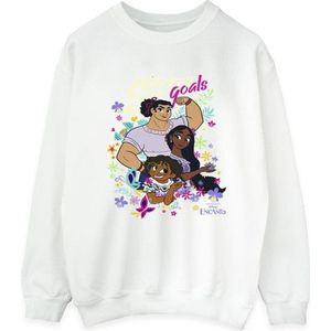 Li-cense Disney dames encanto sister goals sweatshirt