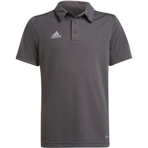 Adidas - Entrada 22 - Poloshirt - Korte Mouwen