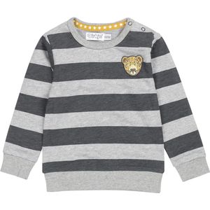 Dirkje Baby jongens sweater stripe tiger