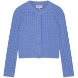 Fabienne Chapot - Cardigan - Blauw - Slim Fit - Katoen
