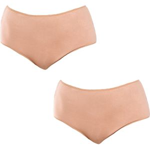 Pack-2 Damesslip in microvezel Q-EN906