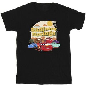Li-cense Disney heren cars radiator springs groep t-shirt
